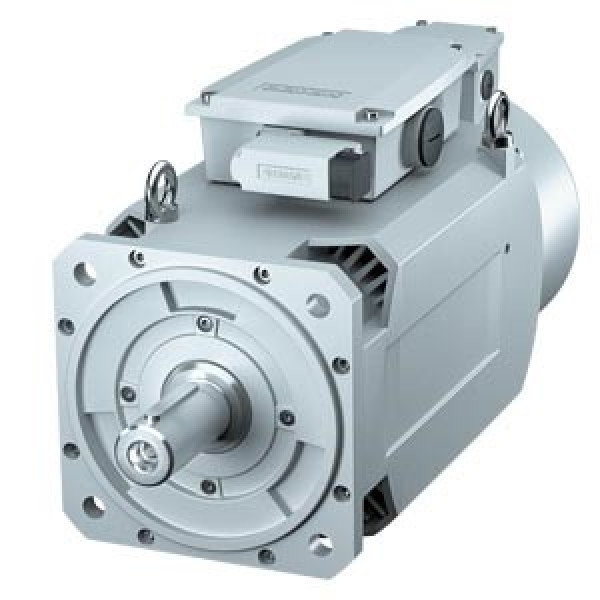 Siemens 1PH3136-1DD02-0GA0-Z P81