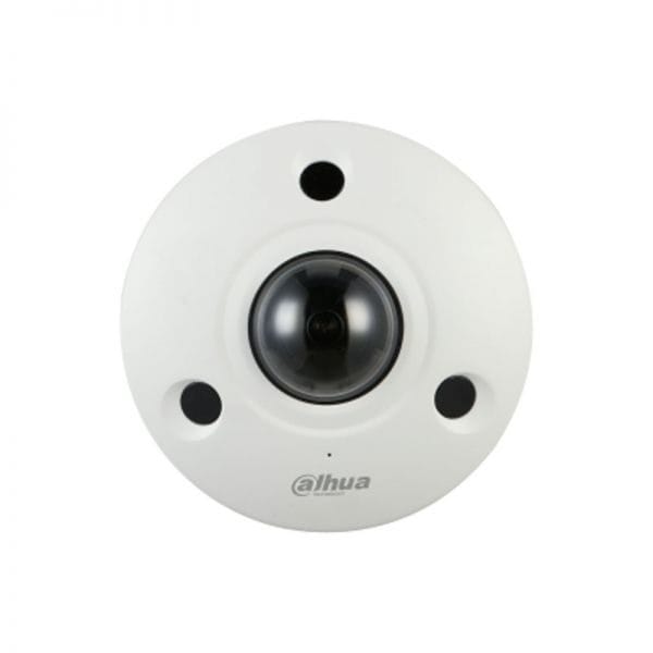 Dahua IPC-EBW81242 (only for project)