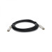 Extreme Extreme Networks 1.6FT QSFP+ 10311