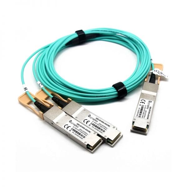 Mellanox MFS1S50-H010V