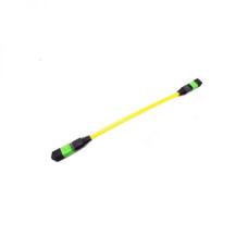 Neutral-MPOF-1M-MPOF-G.652D-12C-F-A-L