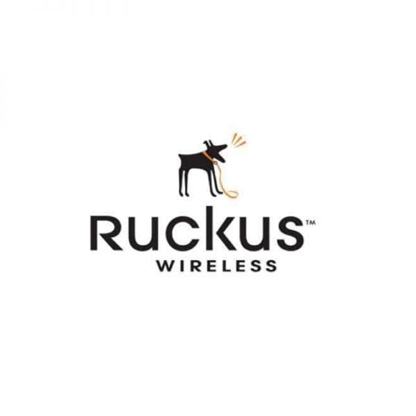 Ruckus L09-0001-SG00