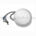 Cisco AIR-ANT2451NV-R